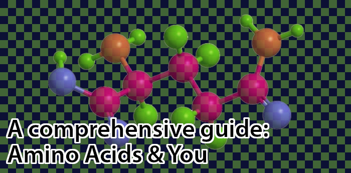 Amino Acid Guide