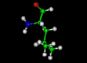 L-leucine Protein Molecule