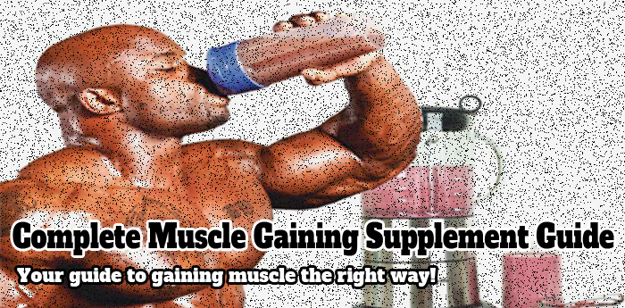 Complete Muscle Gaining Supplement Guide