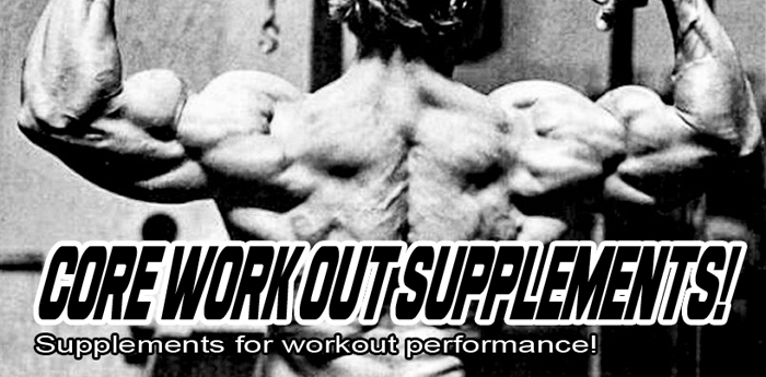 Core Work Out Supplements