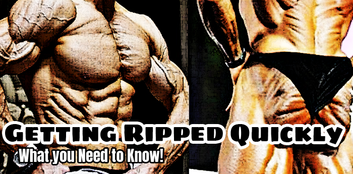 Bodybuilding Nutritin: Getting Ripped Quickly