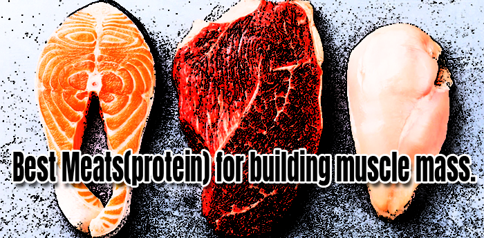 Best Meats(protein) for building muscle mass!