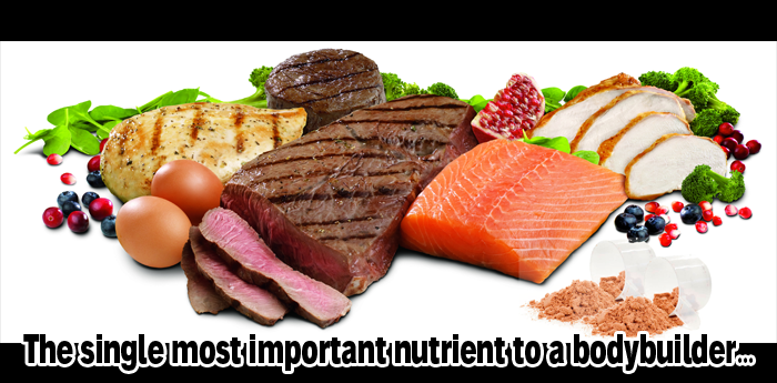 Bodybuilders Protein