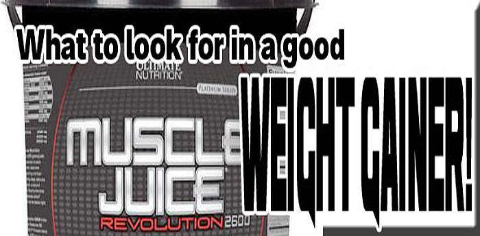 What to look for in a good Weight Gainer
