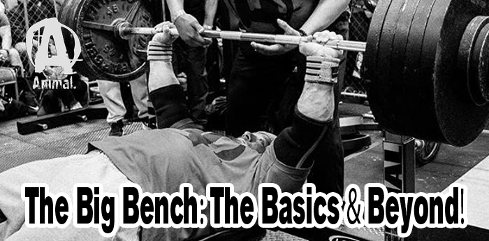 The Big Bench: The Basics & Beyond