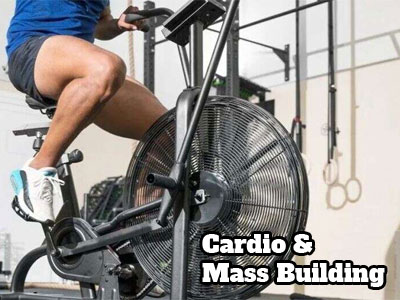 Does cardio hurt mass building goals?