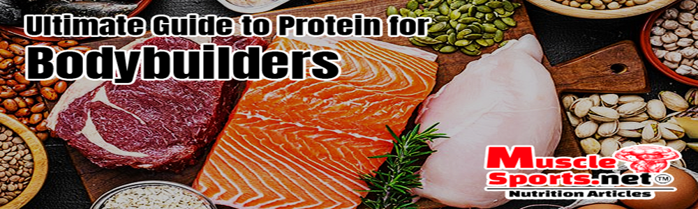 The Ultimate Guide to Protein for Bodybuilders