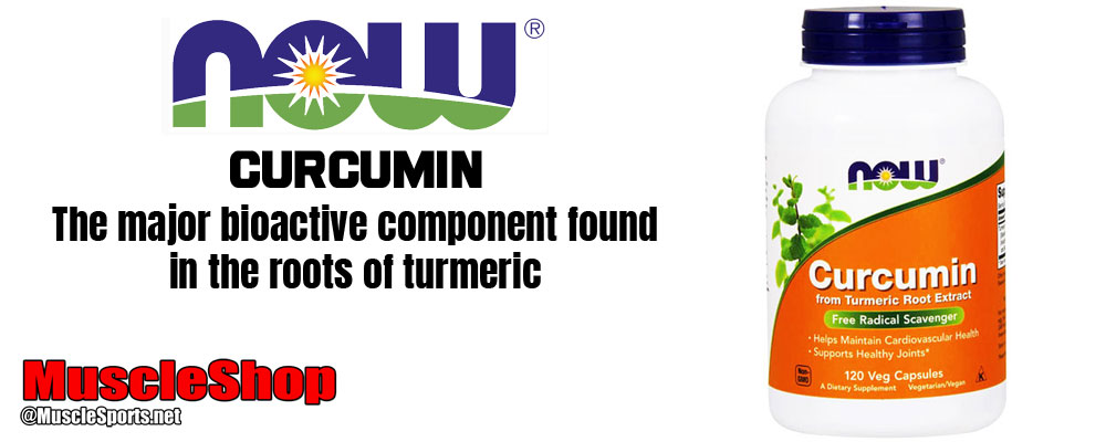NOW Curcumin Header